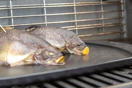 A pancia in giù il pesce non si appiccica alla griglia.