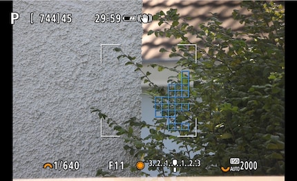 The autofocus of the cheaper 800mm only works within the square. Here you can see the size of the square on a full-frame camera. With APS-C, the area is larger.