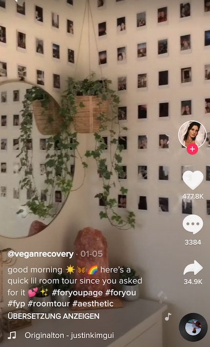 Una composizione di Polaroid ha un fascino tutto suo. Immagine: TikToker «Veganrecovery»