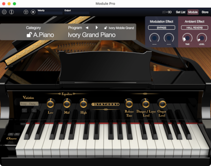 Korg Module Pro con estensione in-app Synthogy Ivory