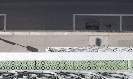 L'unico pezzo di verde qui sono le orride piastre di plastica.