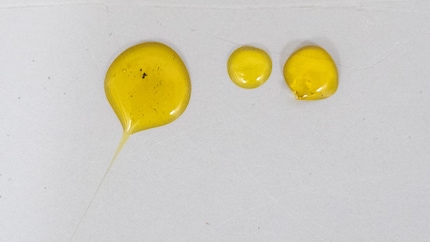 Il test di doping mostra: UHU è tossica e altamente infiammabile. Perfetta per un duello come questo!