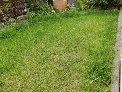 Lawn edges in front of obstacles must be cut by hand.