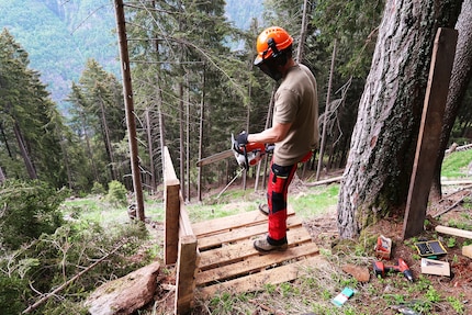 Claudio all’azione