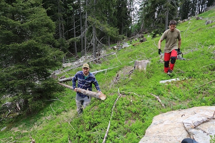 ... e poi si danno da fare nel bosco.