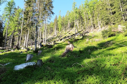 Vista dal «Terreno dei camosci» senza binocolo