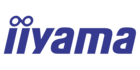 Logo of the iiyama brand