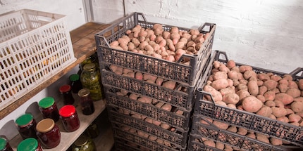 Conserva sempre le patate lontano dalla frutta.