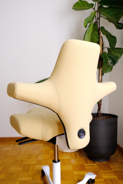 Design and functionality set Capisco apart from the regular office chair range.