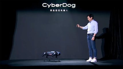 Se l’uomo nella foto è alto 170 cm, il cane robot dovrebbe misurare 40 cm di altezza e 60 cm di lunghezza.