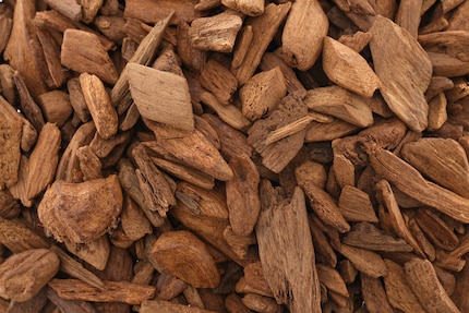 Pezzi di legno di Aquilaria, chiamato anche legno di Agar o Agarwood. Shutterstock
