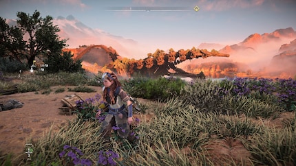 In «photo mode» the game shines, but runs rather sluggishly.