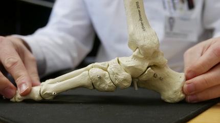 Dalla punta dei piedi al tallone: i nostri piedi hanno una struttura complessa.