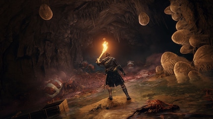In «Elden Ring» ti viene spiegato poco e il mondo sembra così ancora più misterioso.