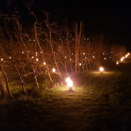 Se non si sapesse di cosa si tratta, si potrebbe pensare di trovarsi a una festa indiana.