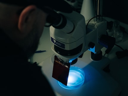 Con il microscopio possiamo osservare...