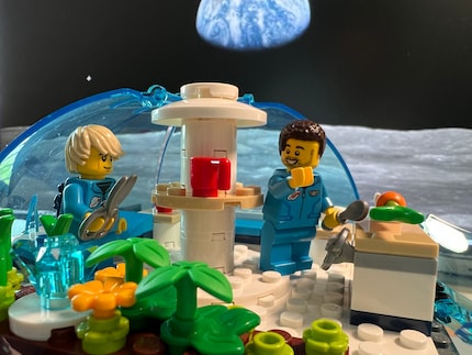 Nel laboratorio c'è un'atmosfera di lavoro rilassata. Forse mangeremo la prima carota spaziale per cena.