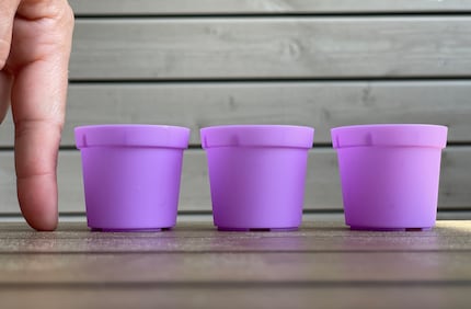 Carino, ma minuscolo: i vasetti viola sono molto più piccoli di quanto immaginassi.
