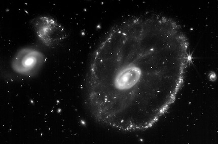 Ecco come appare una singola esposizione della NIRCam, qui con il filtro f444w.