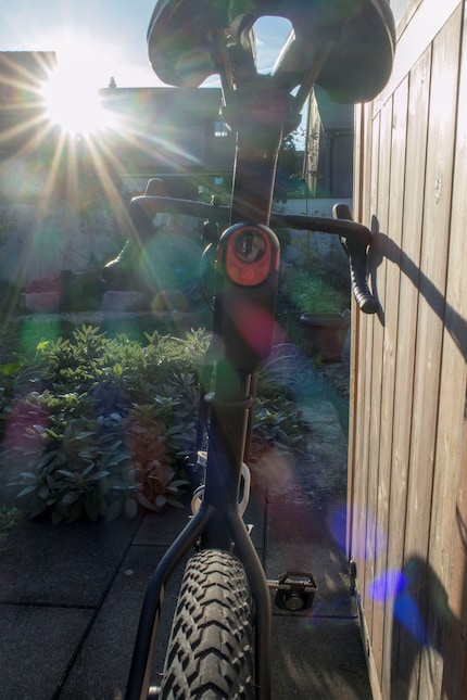 ... o senza nel sole del mattino.
