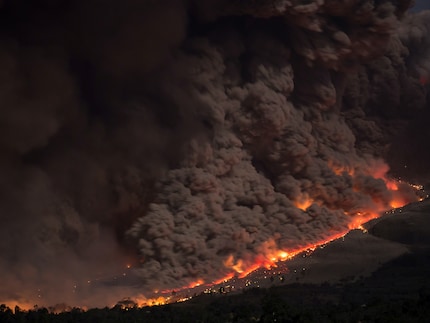 Sex at 30: for the most part, an uncontrollable wildfire. Source: Unsplash
