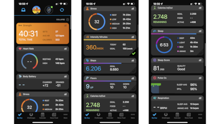 Die Garmin-App ist mein Favorit unter den Fitness-Apps der diversen Hersteller. / © NextPit