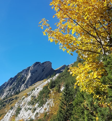 L'autunno mostra il suo lato più bello durante la nostra escursione.