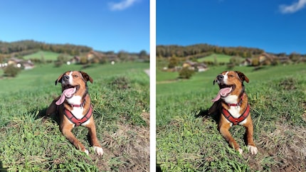 On the left, a photo of Lino with the Red Magic Phone. On the right, the Galaxy S22 Ultra.