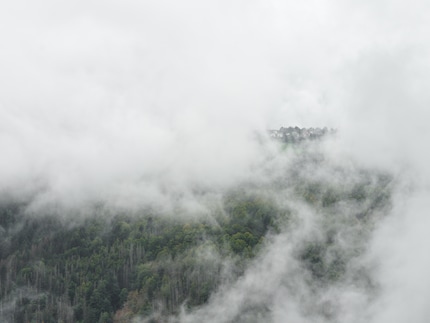 I haven’t had as much fun taking photos in ages as I have with the X2D. It’s not about the images, but my experience.