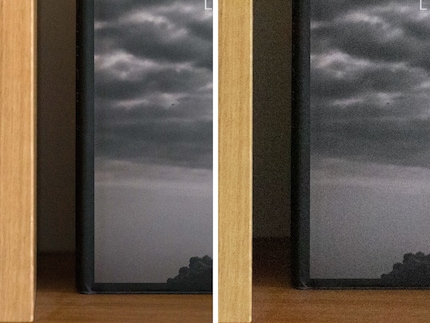 If I scale the X2D image (left) to the 100% view of an identical shot from the Sony A1 (right), it’s a lot more apparent which has the better noise behaviour.