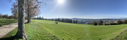 While it’s laborious to shoot in panorama, the photo did turn out well.