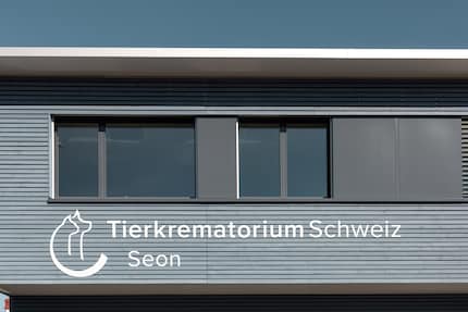 Già prima di entrare nell'edificio si percepisce una sensazione di calma.