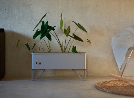 Pia-Plantbox è una cassetta che include vaso e sottovaso ed è stata ideata a Zurigo.