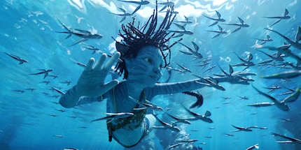 So you’re telling me nothing in this picture is actually real, not even the surface of the water? I can’t get my head around that.