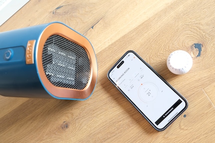 Il controllo funziona senza problemi tramite l'app ed è facile da capire.