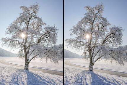 Le immagini dell'S5II (a sinistra) sono identiche a quelle del vecchio modello S5 (a destra). Poiché i RAW non sono ancora supportati dai convertitori al momento del test, qui si tratta di JPG.