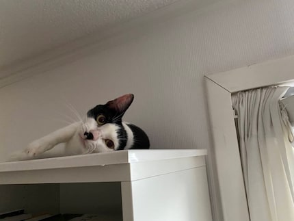 Se fossi rimasta fedele ai miei propositi non avrei mai scattato questa foto. Ma è così grave?