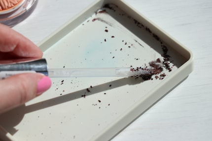 Press the applicator into the powder ...