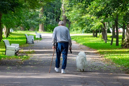 Per molte persone anziane, un cane non è solo un amico, ma anche un incentivo a rimanere attivi.