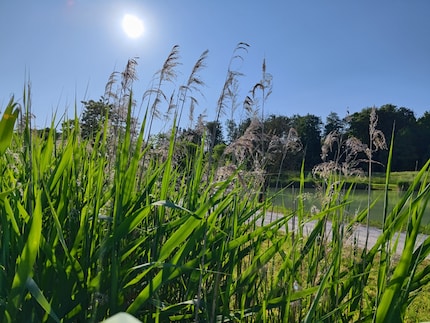 Main camera of the Xiaomi 13 Lite capturing light and shade.