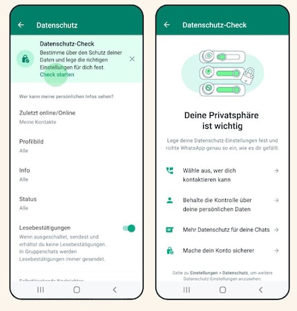  Ecco come appare il controllo della privacy