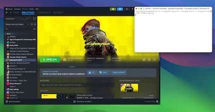 I giochi o i launcher come Steam devono essere aperti tramite un comando nel terminale.