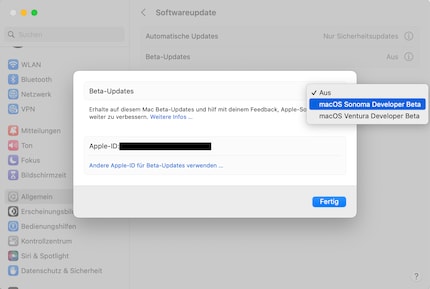 È possibile installare Sonoma Beta negli aggiornamenti software.