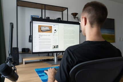 Lo schermo è difficile da collocare: troppo brutto come monitor premium, troppo costoso come monitor da ufficio.