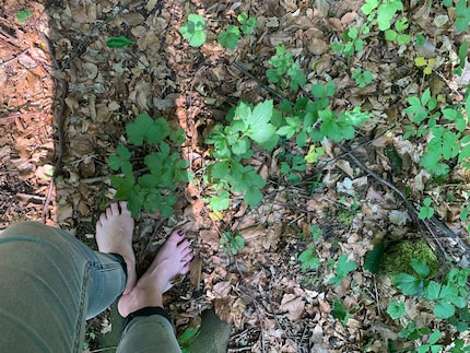 A piedi nudi sul morbido suolo del bosco: la mia esperienza più memorabile di oggi.