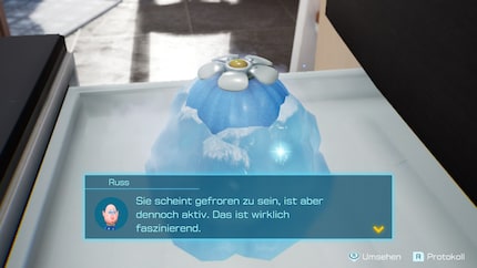 Trovato! Con il bulbo di ghiaccio posso far crescere Pikmin di ghiaccio.