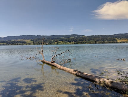 Nokia G42: la foto scattata con la modalità automatica appare un po' pallida ed è leggermente troppo giallastra.