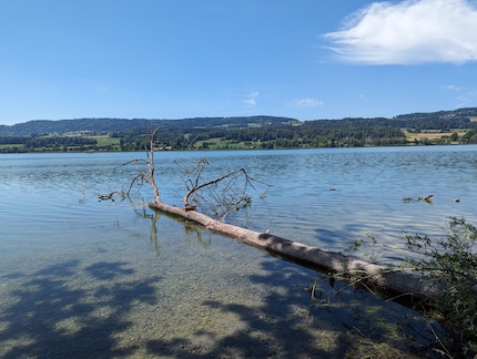 Google Pixel 7 Pro: la foto di confronto è molto più vicina alla realtà.
