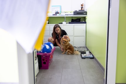 La receptionist Deborah Thillen e il suo cane Missy ci danno il benvenuto al Tierhotel 5 Stern.