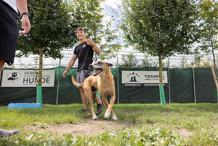 Nel parco giochi, gli ospiti dell'hotel possono scatenarsi...